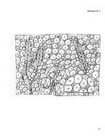 Konspekts 'Skaņas un burta "m" apguve', 10.