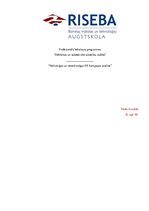 Referāts 'Veiksmīgas un neveiksmīgas PR kampaņas apraksts', 1.