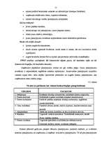 Referāts 'Darba diagnostikas apsekošana IU "Stils"', 12.