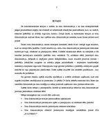 Diplomdarbs 'Cenu diskriminācijas dažādās ekonomikas sfērās praktiskās pielietošanas pētījums', 7.