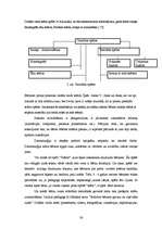 Diplomdarbs 'Runas attīstības procesa veicināšana ārpusnodarbību laikā 3-4 gadus veciem bērni', 32.