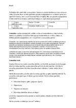 Prezentācija 'Uzmanība', 41.