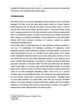 Referāts 'Tiesību normu interpretācija Edgara Meļķisa skatījumā', 11.