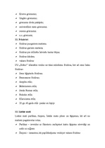 Biznesa plāns 'Frizētavas "Ilzīte" biznesa plāns', 7.