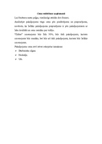 Biznesa plāns 'Frizētavas "Ilzīte" biznesa plāns', 11.