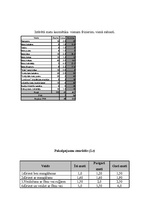 Biznesa plāns 'Frizētavas "Ilzīte" biznesa plāns', 13.