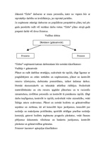 Biznesa plāns 'Frizētavas "Ilzīte" biznesa plāns', 24.