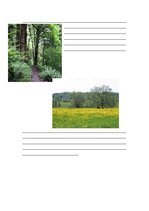 Konspekts 'Izjūti mūsu Latviju', 6.