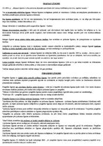 Konspekts 'Saistību tiesības. Sevišķā daļa', 6.