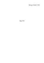 Eseja 'Situācijas - problēmas analīze', 2.