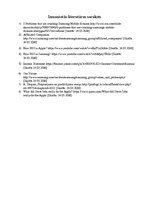 Eseja 'Situācijas - problēmas analīze', 8.