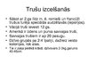 Prezentācija 'Truši', 4.