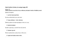 Paraugs 'Valodas lietojums un lasīšana 1.klasē', 22.