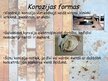 Prezentācija 'Korozija', 6.