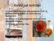 Prezentācija 'Korozija', 10.