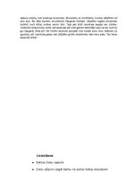 Konspekts 'Eposa "Lāčplēsis" konspekts', 8.