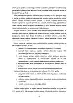 Referāts 'Iekšzemes kopprodukta analīze Latvijā', 19.