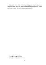 Referāts 'Iekšzemes kopprodukta analīze Latvijā', 21.