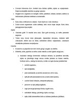 Referāts 'Cilvēka pamatvajadzības', 4.