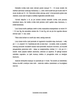 Referāts 'Cilvēka pamatvajadzības', 13.