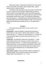 Referāts 'Prenatālās attīstības periodi', 4.