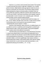 Referāts 'Prenatālās attīstības periodi', 5.