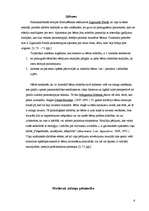 Referāts 'Prenatālās attīstības periodi', 6.