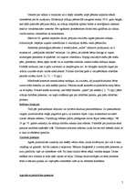 Referāts 'Prenatālās attīstības periodi', 7.