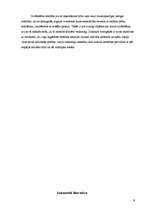 Referāts 'Prenatālās attīstības periodi', 9.