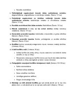 Konspekts 'Audzināšanas teorija un metodika', 4.