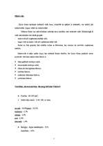 Referāts 'Nekustamo īpašumu firmas analīze', 7.