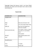 Referāts 'Nekustamo īpašumu firmas analīze', 12.