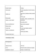 Referāts 'Nekustamo īpašumu firmas analīze', 14.