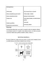 Referāts 'Nekustamo īpašumu firmas analīze', 15.