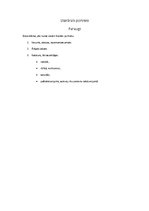 Paraugs 'Literārais portrets (parauga shēma)', 1.