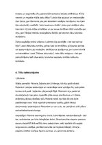 Referāts 'Valda Rūmnieka un Andreja Miglas romāna "Debess aiztur elpu" analīze', 3.