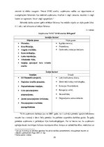 Diplomdarbs 'Uzņēmuma iekšējā kontrole un tās novērtēšana', 30.