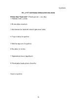 Diplomdarbs 'Uzņēmuma iekšējā kontrole un tās novērtēšana', 72.