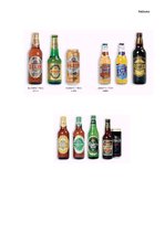 Referāts 'AS "Aldaris" mārketinga vides un stratēģijas analīze un darbības plānošana', 47.