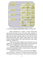 Referāts 'Mūzikas terapija kā metode sagatavošanas grupas bērniem pirmsskolā muzikālajā da', 13.
