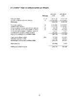 Referāts 'AS "Grindeks" finanšu analīze', 23.