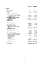 Referāts 'AS "Grindeks" finanšu analīze', 31.