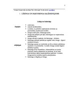 Referāts 'Līzings un faktorings', 8.