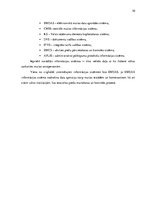 Prakses atskaite 'Muitas kontrolpunkts "Šķirotava"', 10.