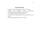 Prakses atskaite 'Muitas kontrolpunkts "Šķirotava"', 17.