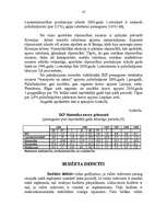 Referāts 'Valsts budžets', 10.