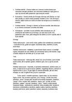 Eseja 'Inga Ābele "Akas māja"', 3.