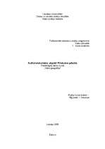 Referāts 'Kultūrvēsturiskie objekti Priekulē', 1.