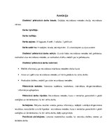 Referāts 'Dažādas reizināšanas metodes skaitļu reizināšanai rakstos', 2.