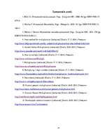 Referāts 'Dažādas reizināšanas metodes skaitļu reizināšanai rakstos', 24.